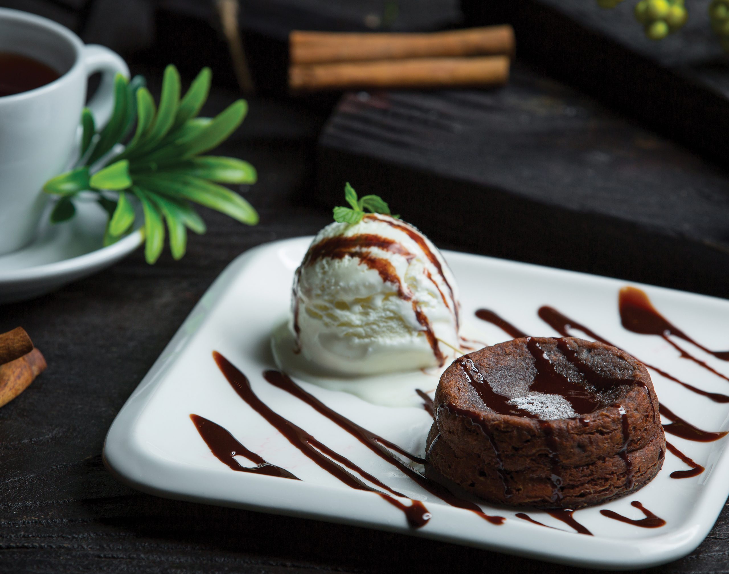 chocolate-fondue-with-icecream-ball